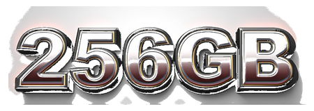 256gb logo